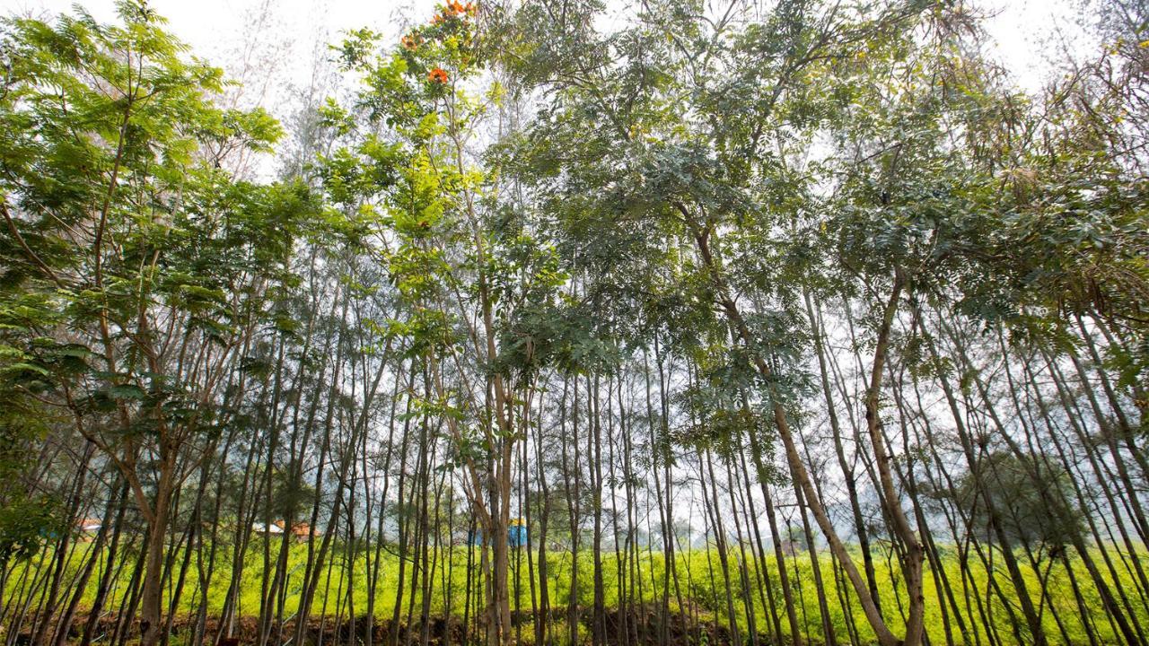 Aara Jungle Resort Coimbatore Exterior foto